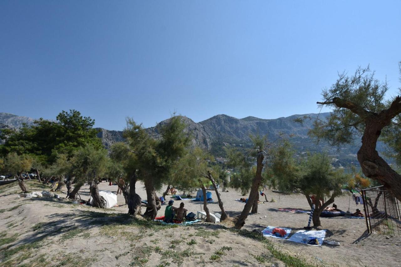 Apartment Vicko Omiš Dış mekan fotoğraf